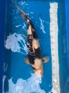 IMG_3721.jpeg