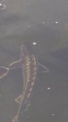 VideoCapture_20250609-101427.jpg