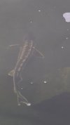 VideoCapture_20250609-101440.jpg