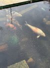 IMG_8434.jpeg