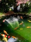 IMG_3166.jpeg