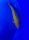 IMG_3645.jpeg