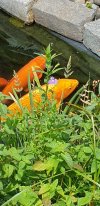 20250628_122951.jpg