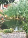 20250628_200824.jpg