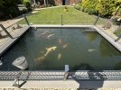 IMG_7869.jpeg