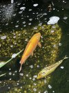 IMG_8670.jpeg