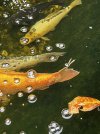 IMG_8669.jpeg