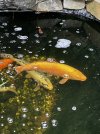 IMG_8671.jpeg