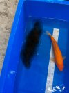 IMG_20250617_093029~2.jpg