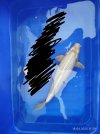 IMG_20250418_113908~2.jpg