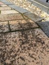 IMG_7886.jpeg