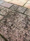 IMG_7884.jpeg