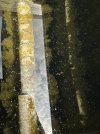 IMG_7905.jpeg
