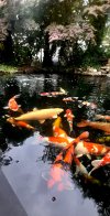 20250726_110058.jpg