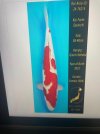 3d207434-c557-4b88-aec5-97af25309dd0.jpeg