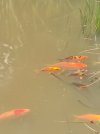 IMG_20250804_152258.jpg