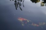 DSC02852.JPG