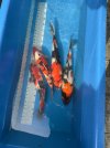 IMG_8592.jpeg
