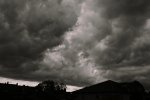 DSC_0989[1].JPG