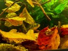 IMG_2832.jpeg