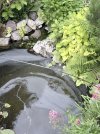IMG_1604.jpeg