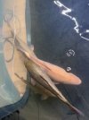 IMG_7128.jpeg