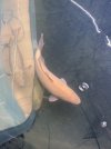 IMG_7127.jpeg