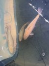 IMG_7126.jpeg