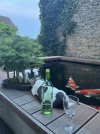 IMG_9056.jpeg