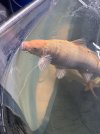 IMG_7199.jpeg