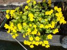 20170403_163234.jpg