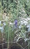 20260714_213025.jpg