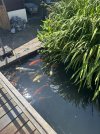 IMG_9158.jpeg