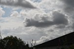 DSC_0307[1].JPG