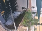 20260731_073820.jpg