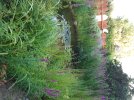 20250717_055854.jpg