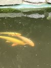 IMG_7732.jpeg