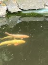 IMG_7731.jpeg