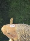 IMG-20260823-WA0010.jpg