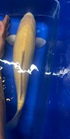 IMG_8457.jpeg