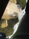 IMG_5095.jpeg
