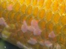 IMG_0840.jpeg