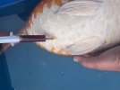 IMG_6374.jpeg