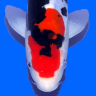 Esuan