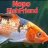 Nopo Fishfriend