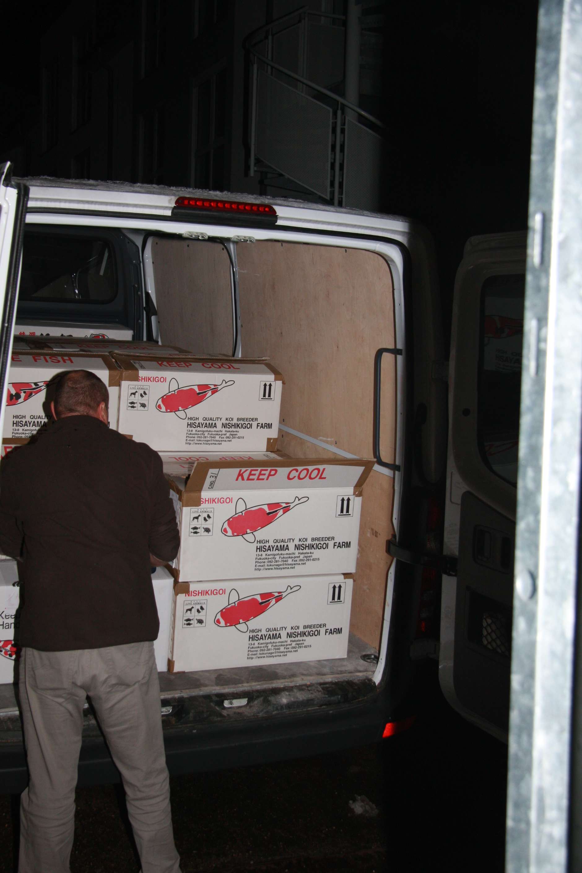 marioimport30122010013.jpg