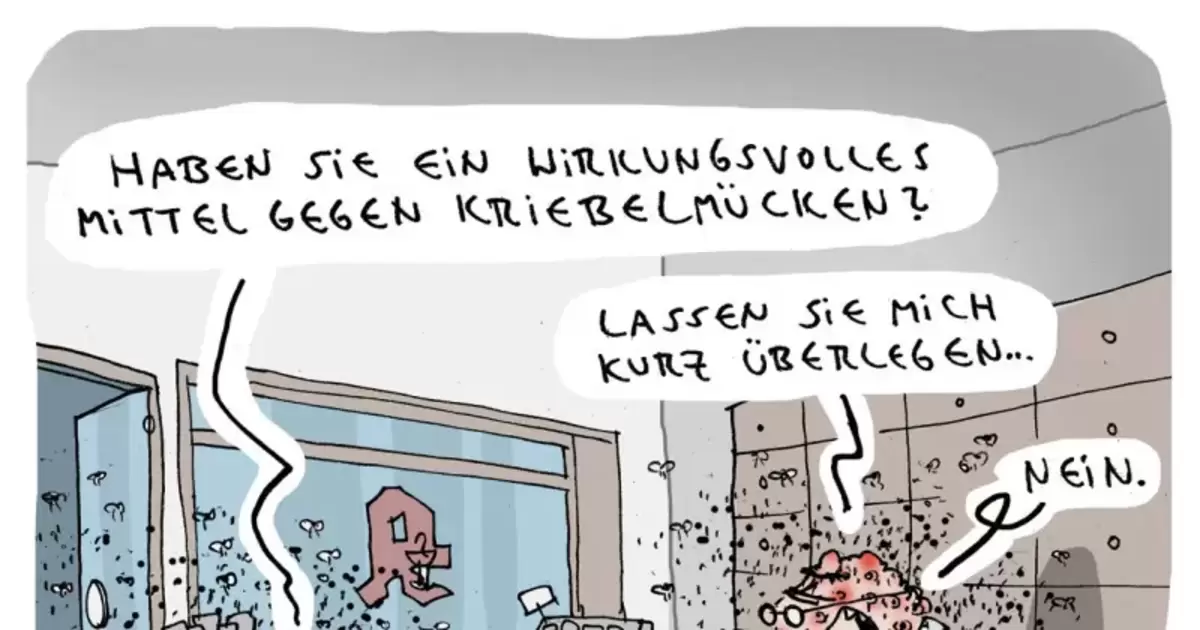 www.rheinpfalz.de