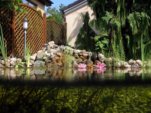 Teichbau-54.jpg