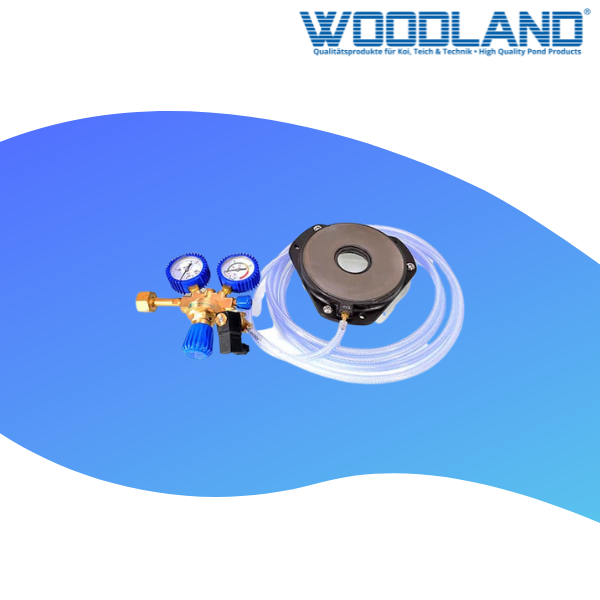 www.koi-andreas.de