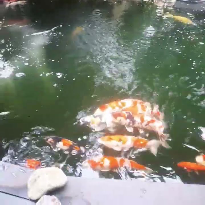 youtube.com